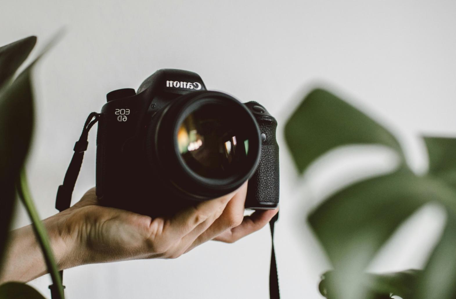 Pannello di color correction con curve e ruote cromatiche